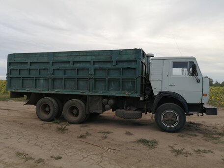 1992 КамАЗ 53215, серый, 520000 рублей, вид 4