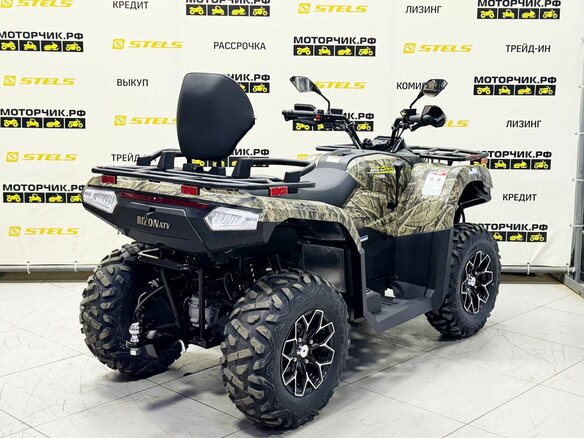 2026 Bizon YK450L EPS, коричневый - вид 4