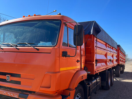 2016 КамАЗ 65115, оранжевый, 2950000 рублей, вид 5