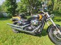 2008 Suzuki Boulevard M50, жёлтый, 555000 рублей - вид 6