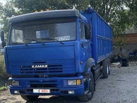 2012 КамАЗ 65117, синий, 3600000 рублей, вид 1