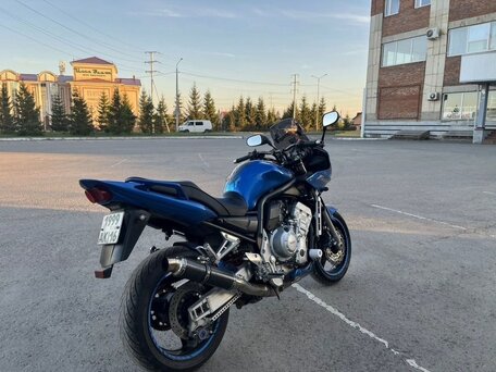 2003 Yamaha FZS1000 Fazer, синий, 485000 рублей, вид 3