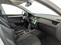 2016 Skoda Octavia III (A7), белый - вид 10