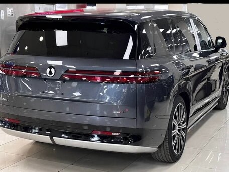 2026 Denza N9 46.9 kWh, серый, 11600000 рублей, вид 4