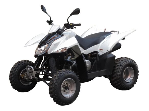2026 Sym QuadRaider, белый, 228000 рублей