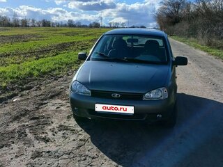 2010 Lada (ВАЗ) Kalina I, серый, 300000 рублей, вид 1