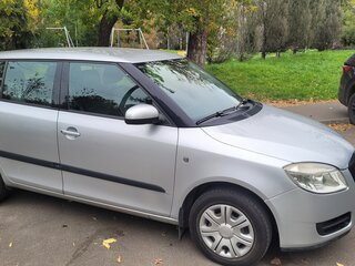 2009 Skoda Fabia II, серый, 515000 рублей, вид 2