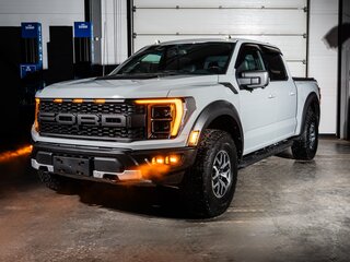 2023 Ford F-150 Raptor XIV, серый, 11850000 рублей, вид 2