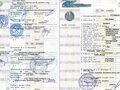 2012 УАЗ 3909, зелёный, 100000 рублей - вид 4