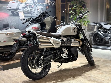 2024 Triumph Scrambler, белый, 1800000 рублей, вид 4