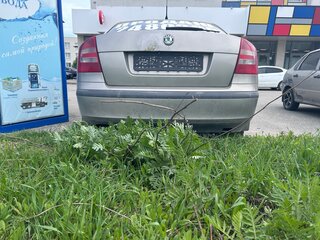 2008 Skoda Octavia II (A5), серый, 270000 рублей, вид 2