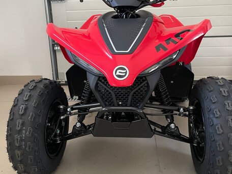 2025 CFMoto CFORCE 110, красный, 215000 рублей, вид 2