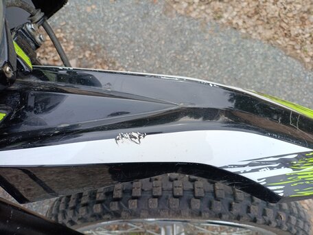 2020 Racer Panther, зелёный, 96900 рублей, вид 5