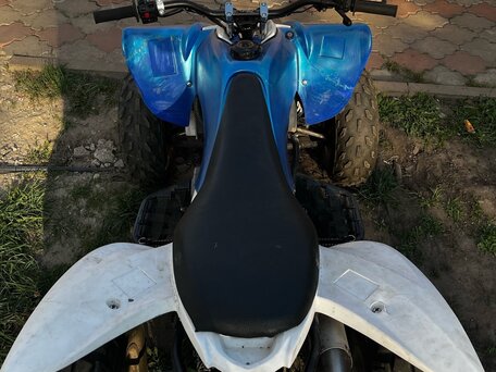 2019 Motoland Raptor 125, белый, 95000 рублей, вид 5
