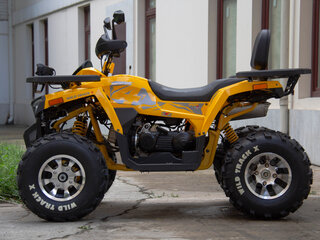 2024 Motoland Wild Track 200 X Pro, жёлтый, 274090 рублей, вид 3