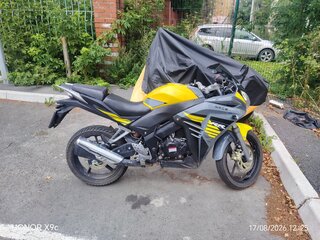 2023 Racer RC300B-F Panther PRO, жёлтый, 120000 рублей, вид 5