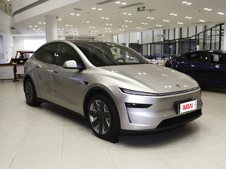 2025 Tesla Model Y Long Range I Рестайлинг, серый, 8000000 рублей, вид 3