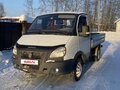 2009 ГАЗ ГАЗель (3302), белый, 450000 рублей - вид 6