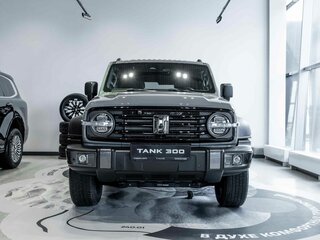 2026 Tank 300 I, серый, 4899000 рублей, вид 2