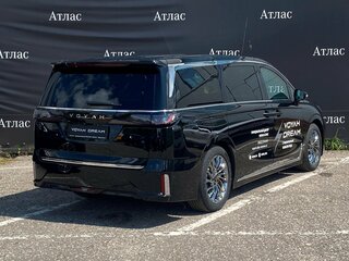 2023 Voyah Dream I, чёрный, 8300000 рублей, вид 4