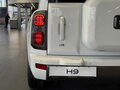 2026 Haval H9 II, белый, 4652010 рублей - вид 6