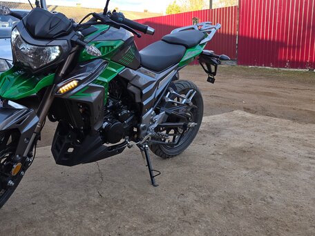 2023 Regulmoto T-Leopard 300, зелёный, 250000 рублей, вид 4