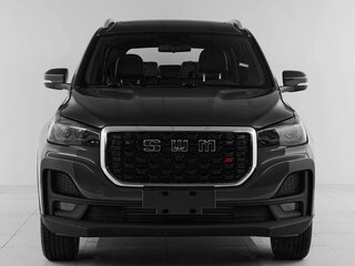 2025 SWM G05 Pro, серый, 1877000 рублей, вид 2