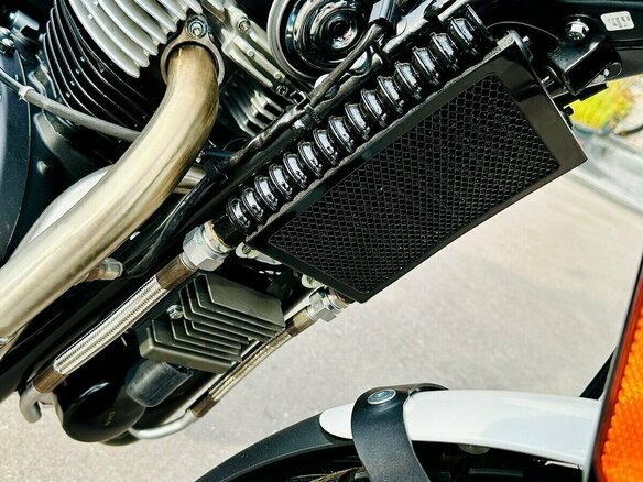 2026 Royal Enfield Bear 650, жёлтый - вид 14