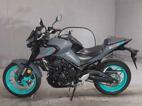 2023 Yamaha MT-03, серый, 590000 рублей, вид 2