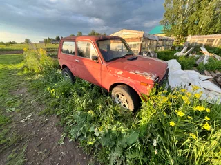 1994 Lada (ВАЗ) 2121 (4x4) I, красный, 65000 рублей, вид 1