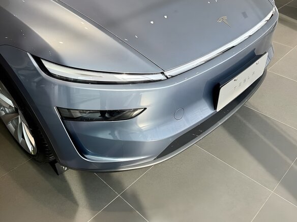 2025 Tesla Model Y Standard I Рестайлинг, серебристый - вид 6