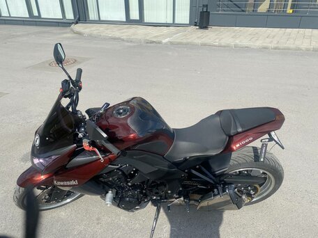 2010 Kawasaki Z 1000, коричневый, 680000 рублей, вид 4