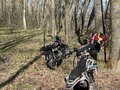 2023 Motoland Alpha, чёрный, 55000 рублей - вид 2
