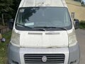 2007 Fiat Professional Ducato, белый, 550000 рублей