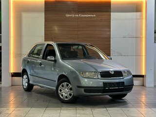 2004 Skoda Fabia I Рестайлинг, серый, 289000 рублей, вид 3