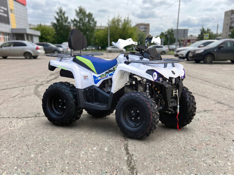 2021 Motoland ATV 200 Shark, белый, 191300 рублей, вид 3