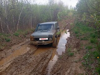 2013 Lada (ВАЗ) 2131 (4x4) 213105 I, серый, 300000 рублей, вид 1