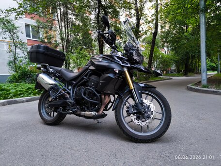 2014 Triumph Tiger 800, чёрный, 560000 рублей, вид 2