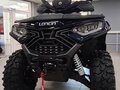 2026 Loncin XWolf 1000, синий, 1164000 рублей - вид 1