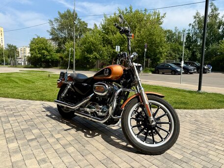 2008 Harley-Davidson XL1200, золотистый, 620000 рублей, вид 4