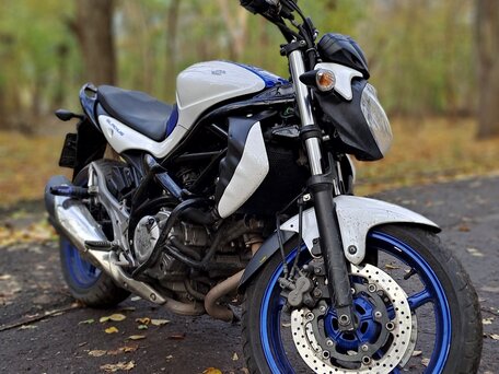 2015 Suzuki SFV 650 Gladius, синий, 501000 рублей, вид 4