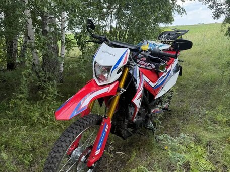 2021 Motoland XL250, красный, 100000 рублей, вид 5