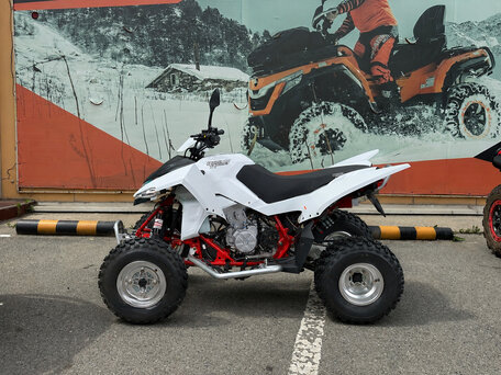2026 Sym QuadRaider, белый, 353800 рублей, вид 3