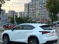 2020 Lexus NX 300 I Рестайлинг, белый, 3130000 рублей - вид 7