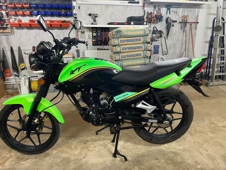2023 Racer Tiger, зелёный, 95000 рублей, вид 2