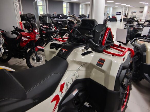 2026 Loncin XWolf 1000 Mud, бежевый, 1469000 рублей - вид 7