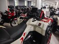 2026 Loncin XWolf 1000 Mud, бежевый, 1469000 рублей - вид 7