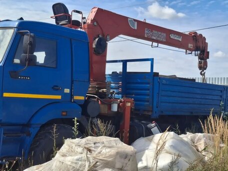 2016 КамАЗ 43118, синий, 5300000 рублей, вид 3