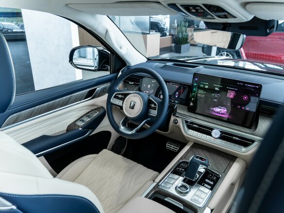 2026 Tank 500 Hi-Charge I, чёрный, 7699000 рублей - вид 25