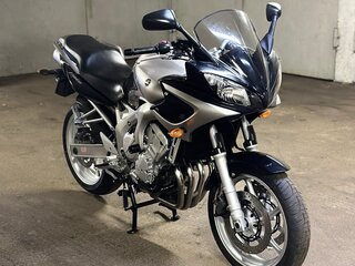 2004 Yamaha FZ6, серый, 515000 рублей, вид 2